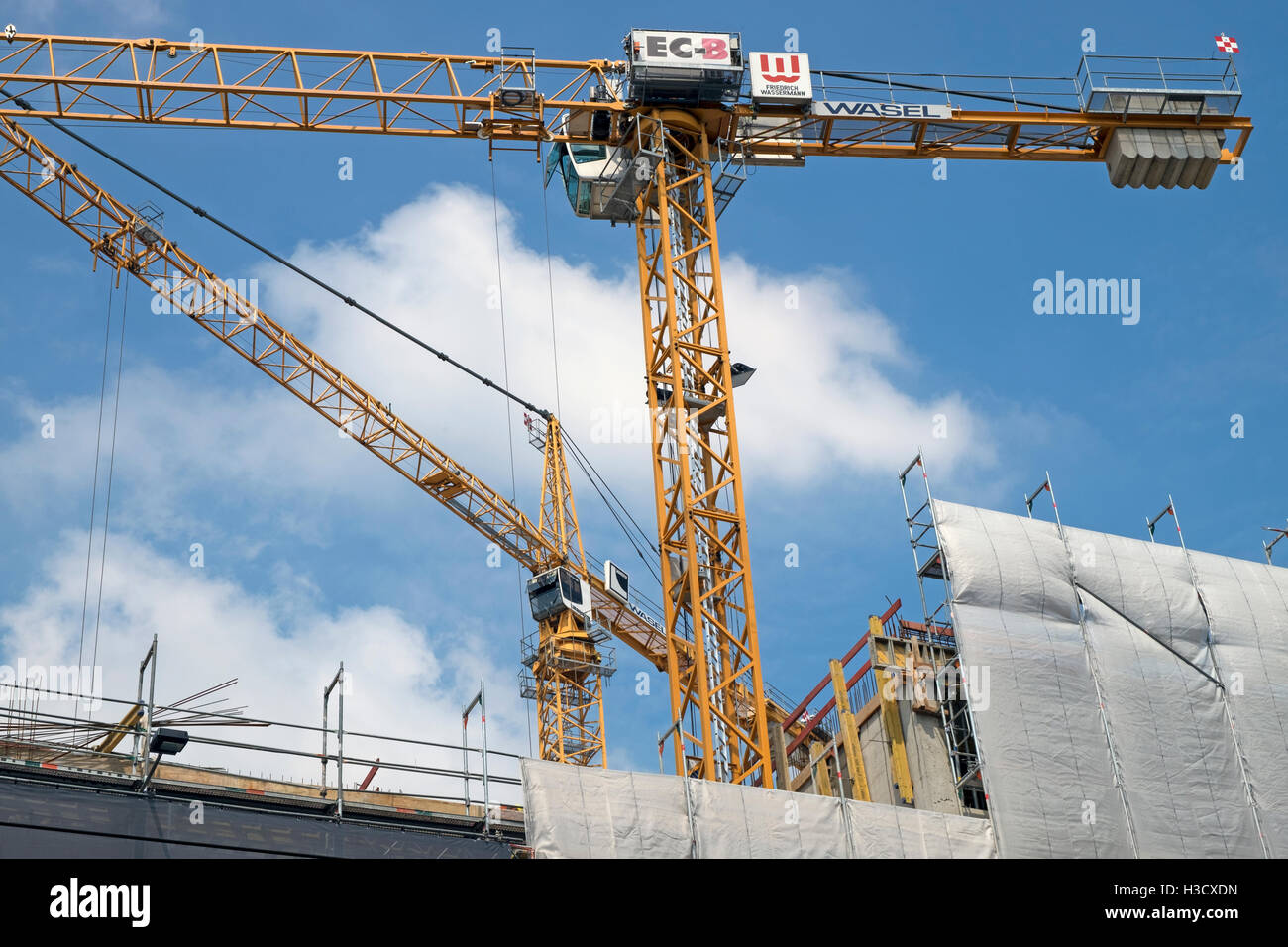 EC-B Friedrich Wassermann tower cranes, Cologne, Germany. Stock Photo