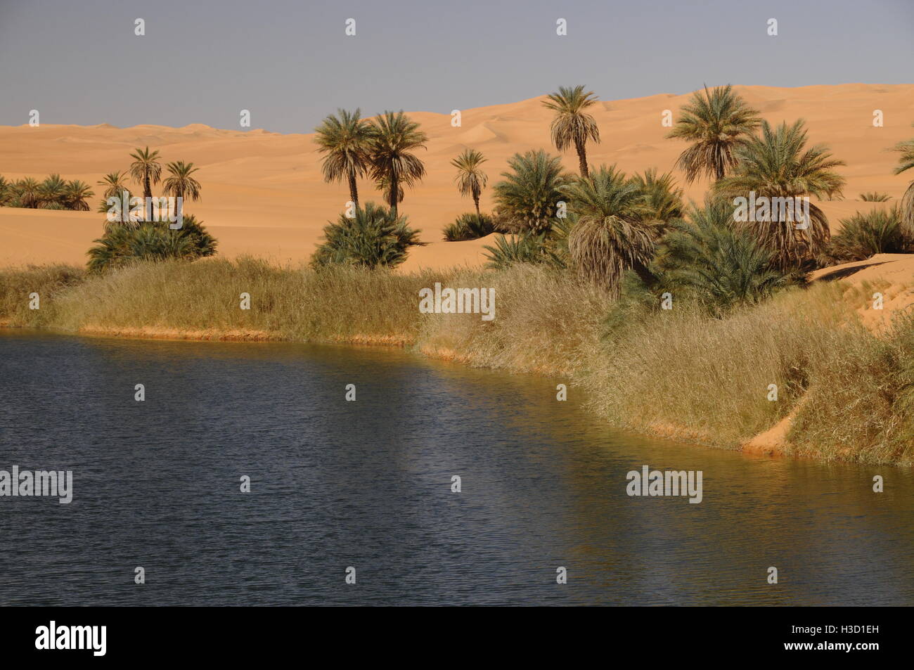 Umm-al-Maa Salt Lake, Sahara Desert, Ubari Lakes, Ubari Sand Sea Natural salt lakes in Sahara interior, Libya Stock Photo