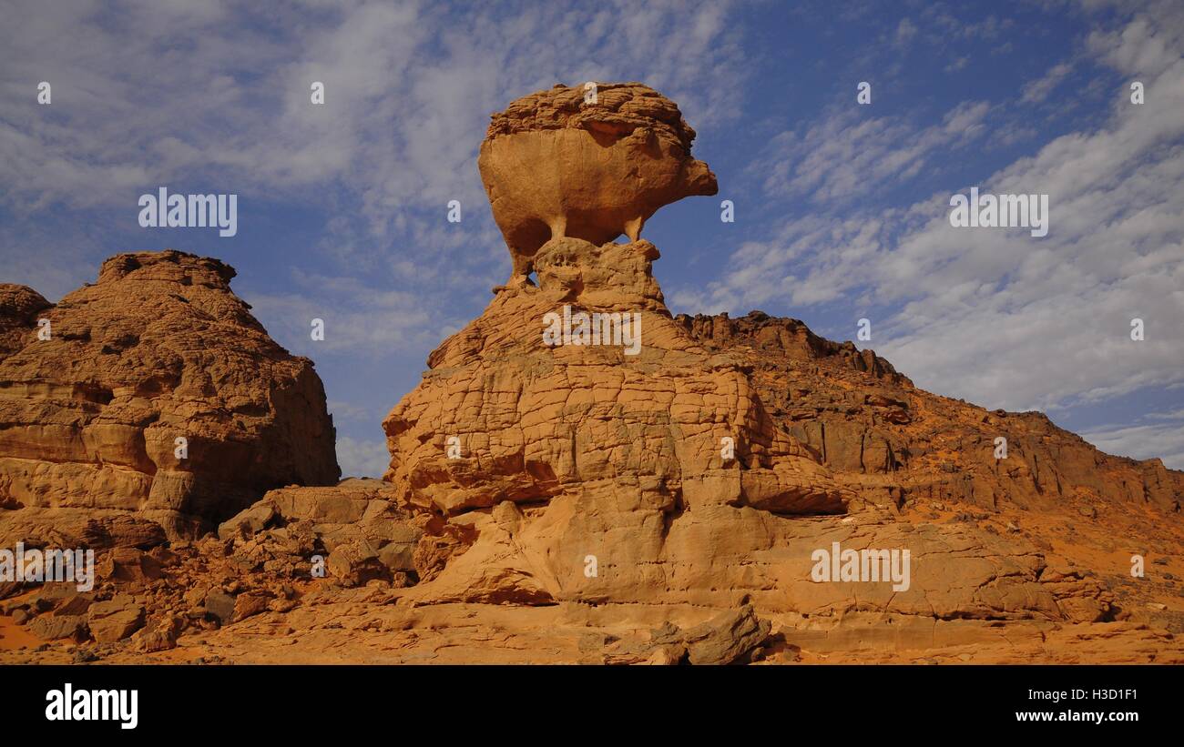 The nature has got a sense of humour. Rock formation in the shape of a piglet or a hedgehog, Acacus Mountains or Tadrart Acacus range, Algeria Stock Photo