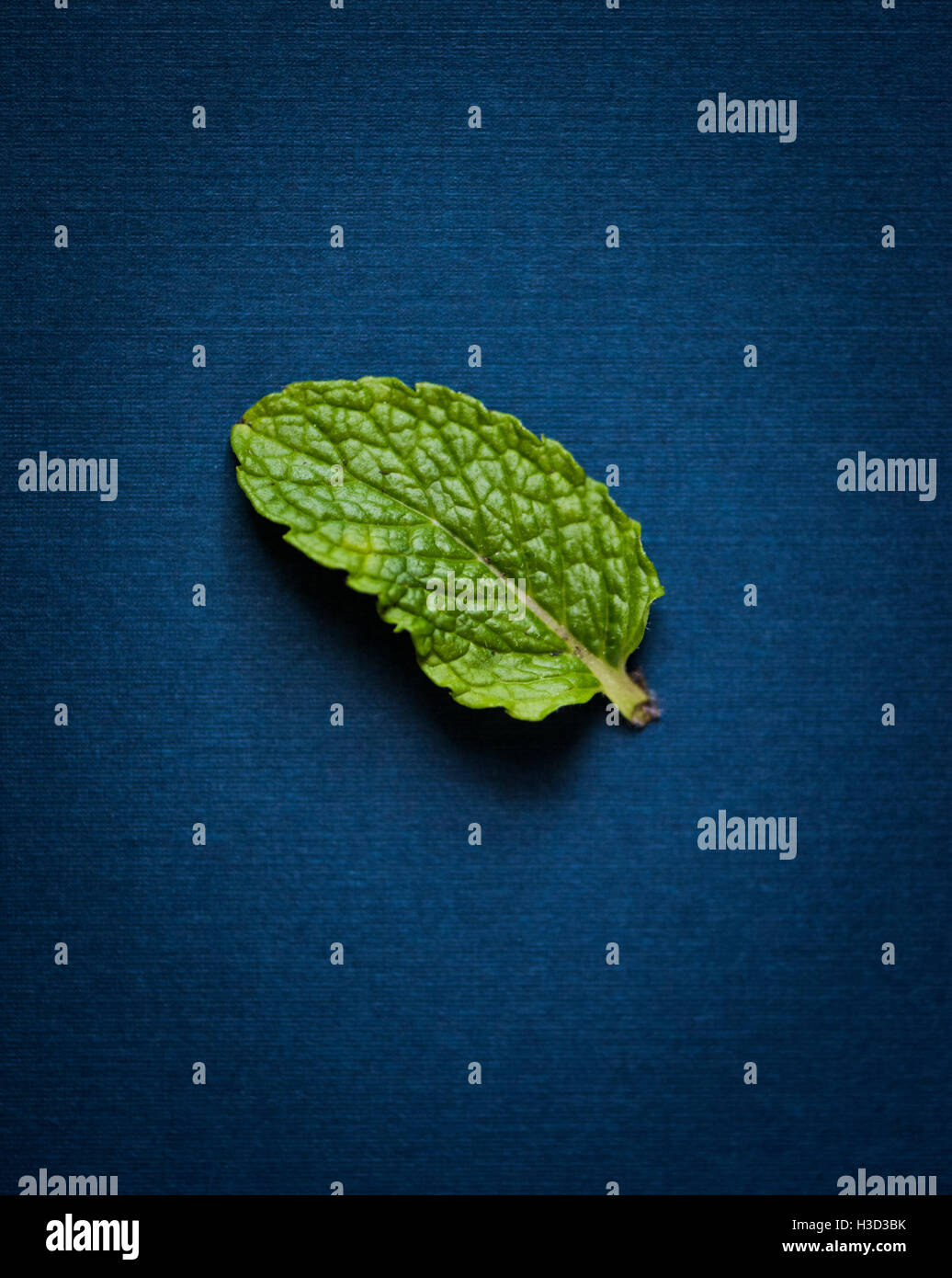 Overhead view of mint leaf on table Stock Photo