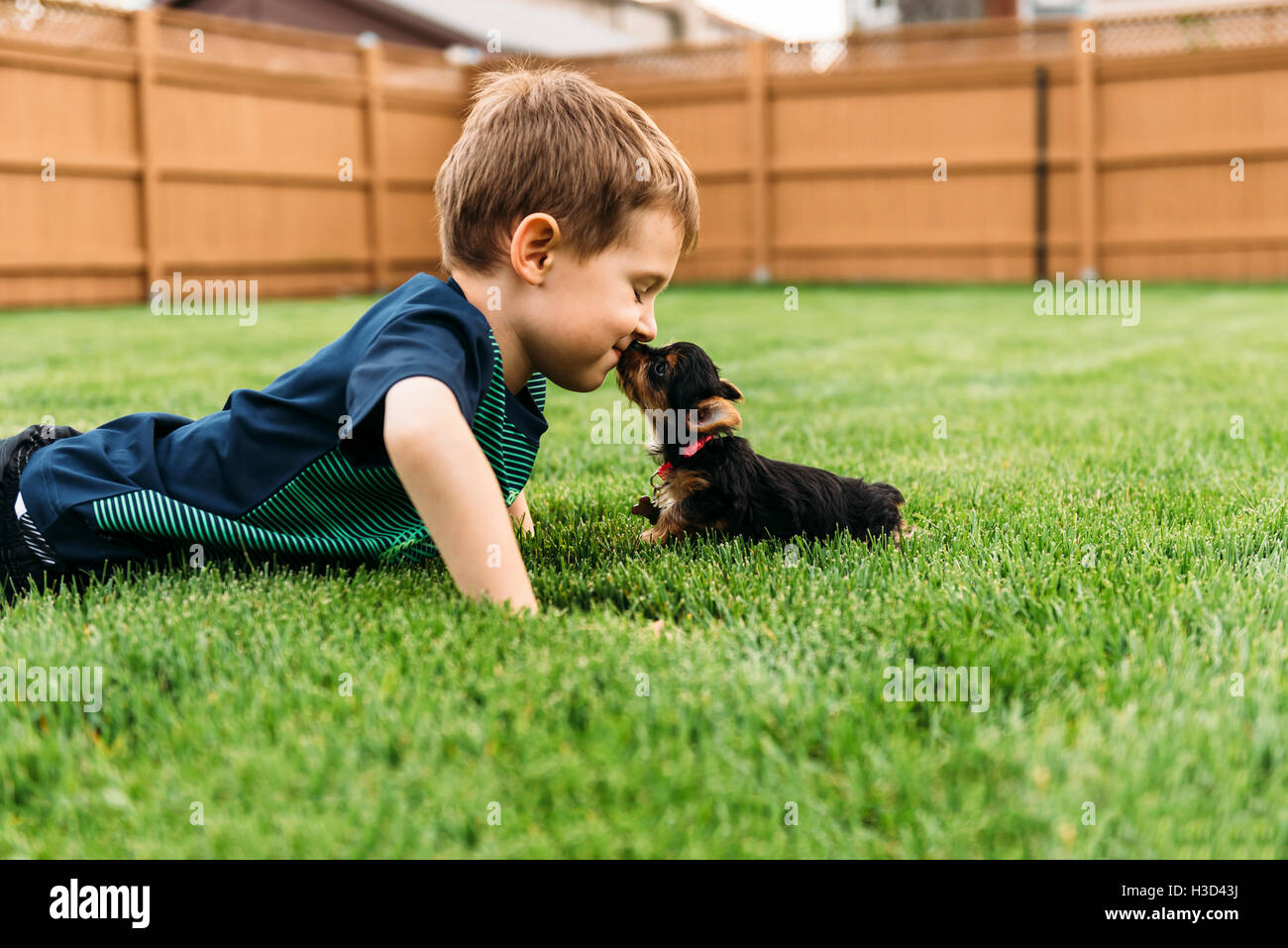 Kissing dog hires stock photography and images Alamy