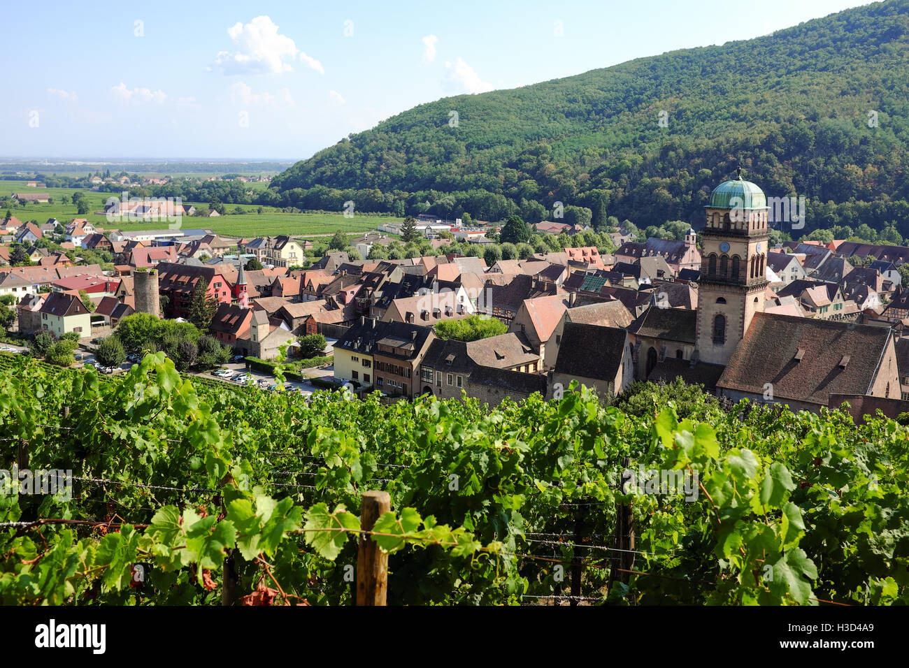 The view of Kaysersberg, France from the vineyards that surround the city. Stock Photo