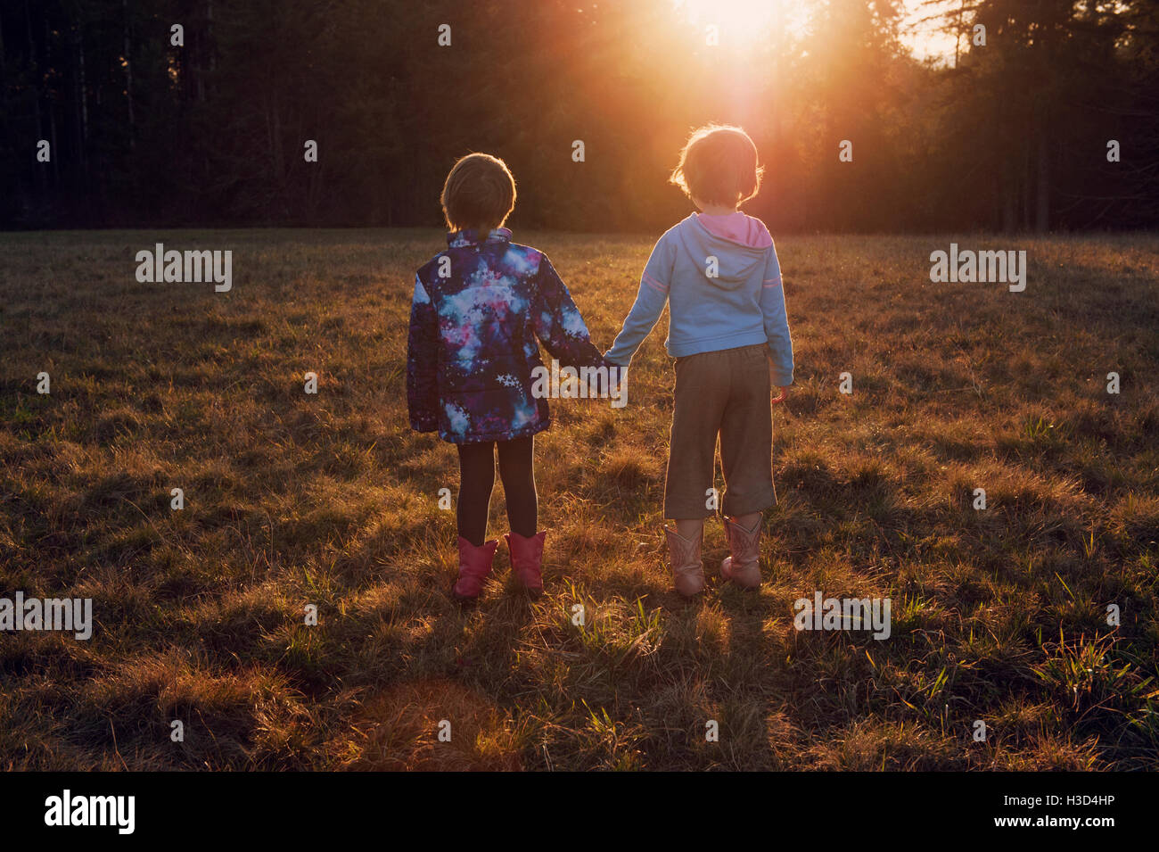 Rear view of sisters holding hands while standing on grassy field Stock ...