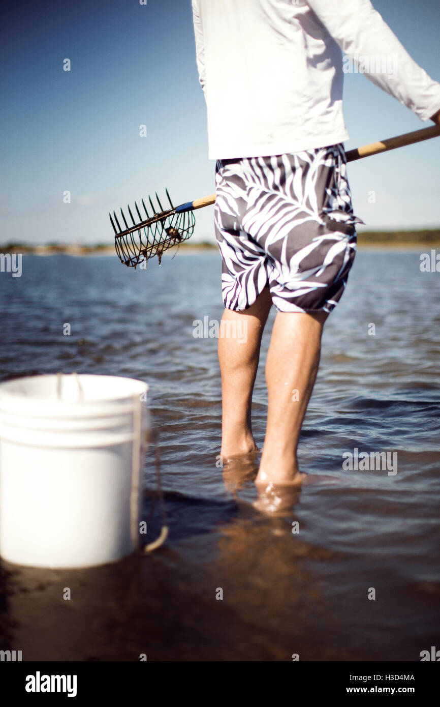 Clam rake hi-res stock photography and images - Alamy