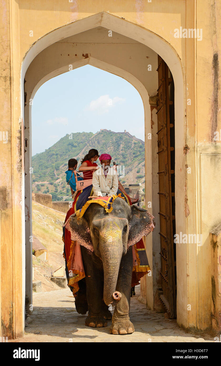 Mahouts riding Elephant at Amber Fort Jaipur,Rajasthan,India Stock Photo