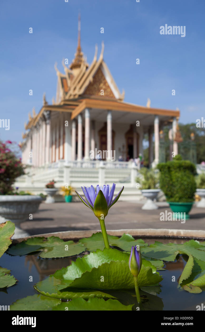 Water Lilies in the Garden of the Royal Palace in Phnom Penh, Cambodia