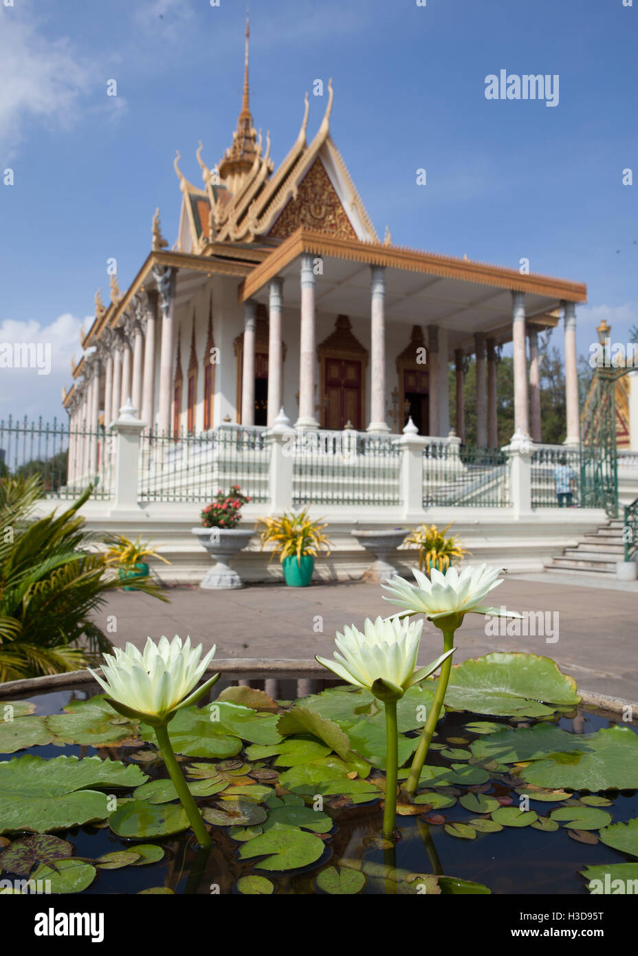 Water Lilies in the Garden of the Royal Palace in Phnom Penh, Cambodia Stock Photo