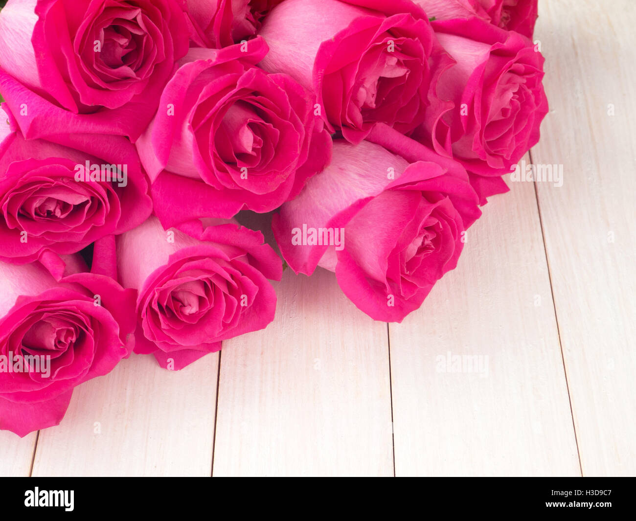 Pink hybrid tea roses bouquet Stock Photo
