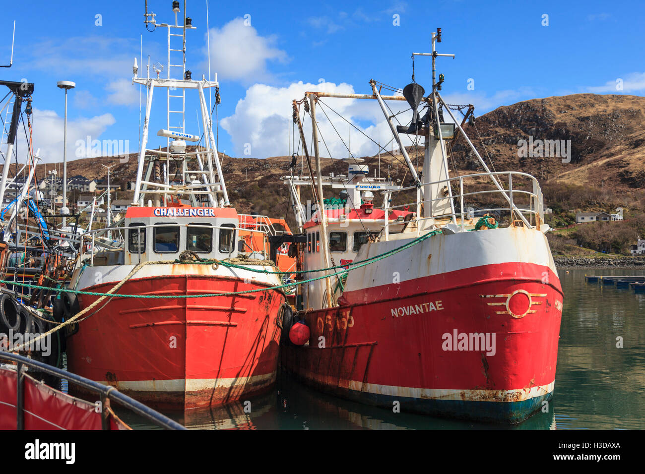 Fishing boat tied up in harbour at Mallaig Stock Photo