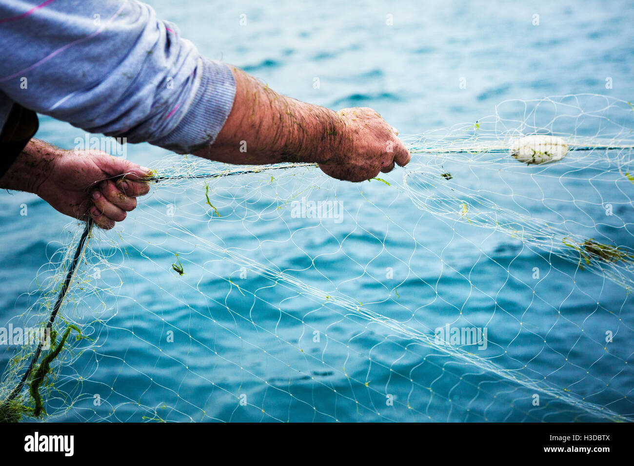 A fisherman pulling the net out of the water. Stock Photo