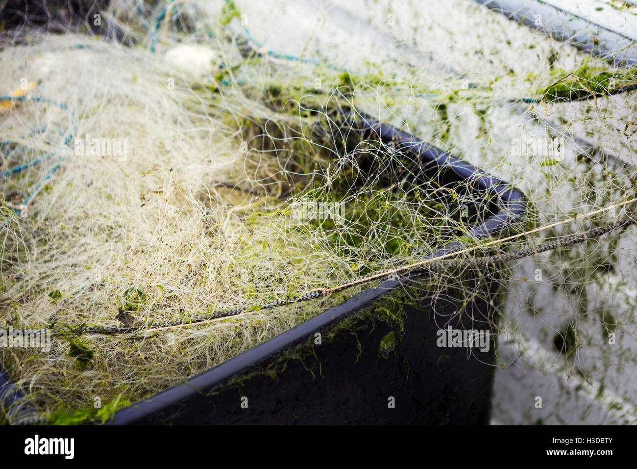 Fishing nets in a black plastic crate Stock Photo - Alamy