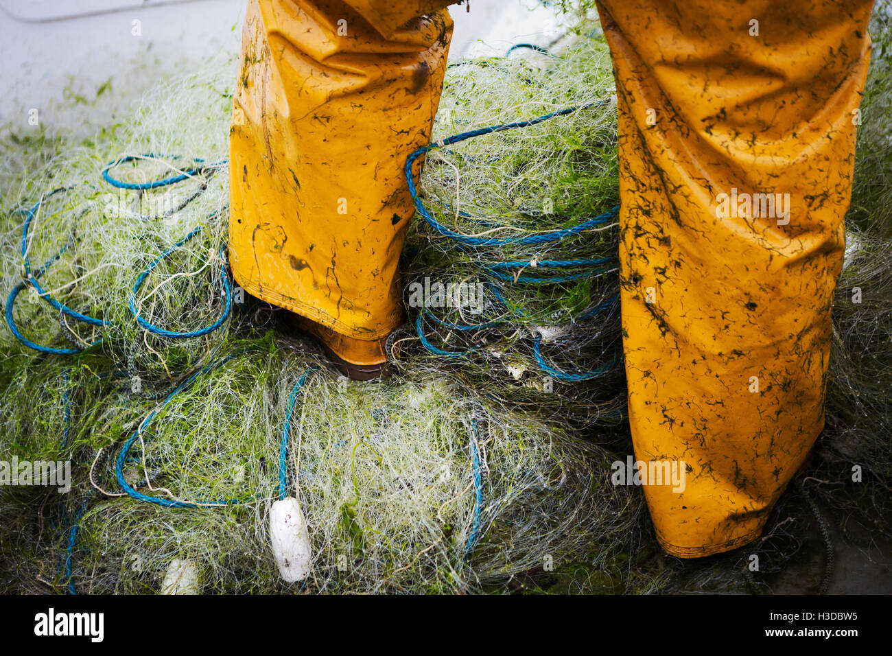 Man wearing waders Banque de photographies et d'images à haute résolution -  Alamy