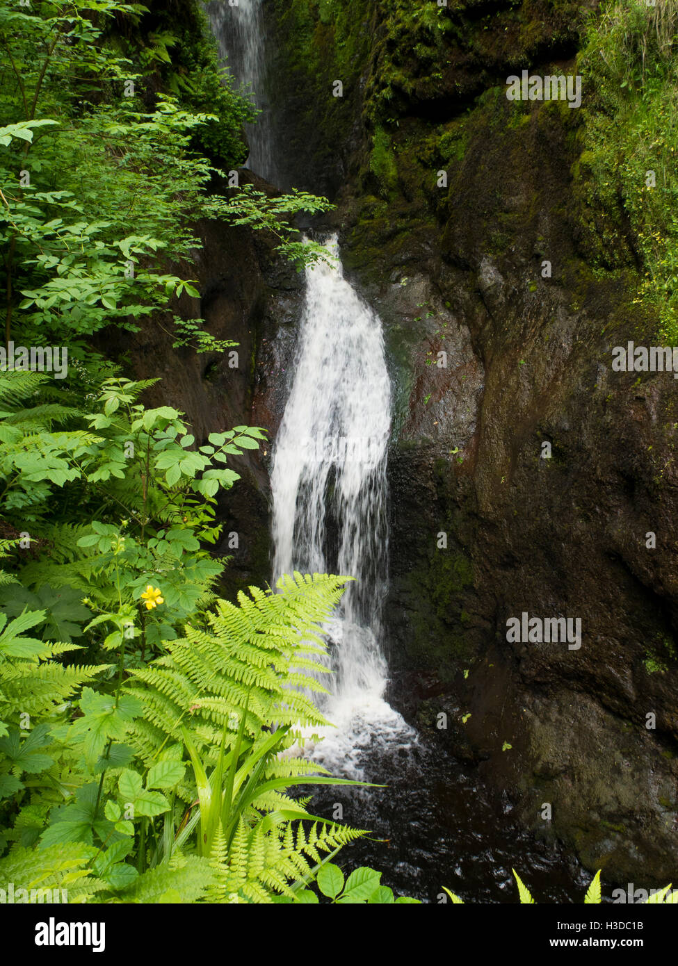 Waterfall in Glenariff forest park Northern Ireland Stock Photo