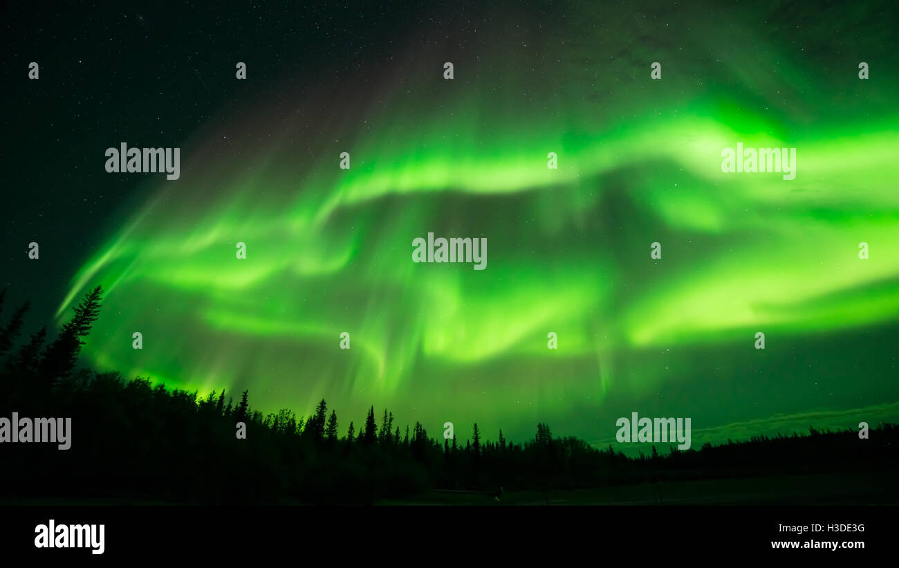 Aurora Cloud - A large cloud of aurora borealis spreading above a ...