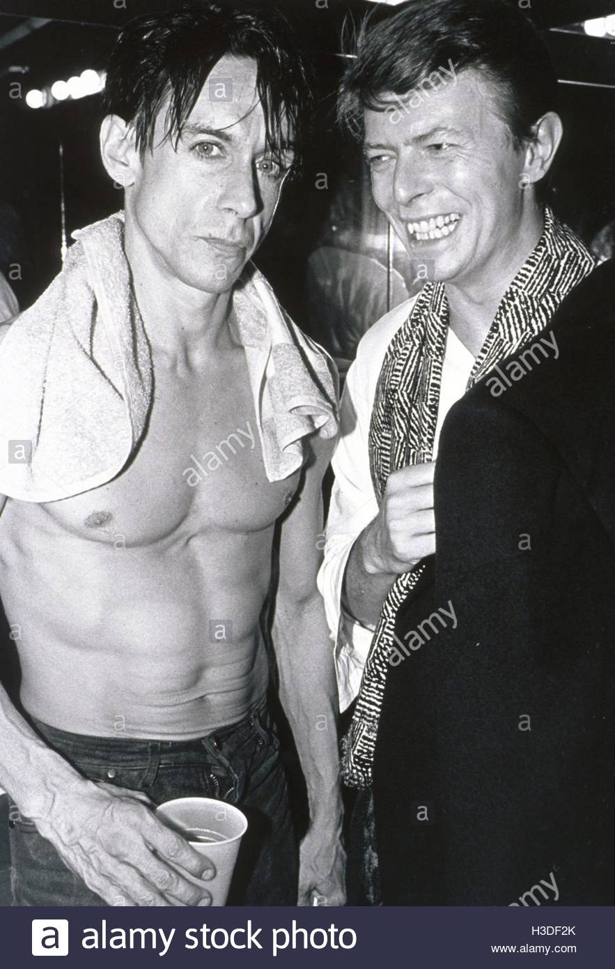 Iggy Pop David Bowie Stock Photos