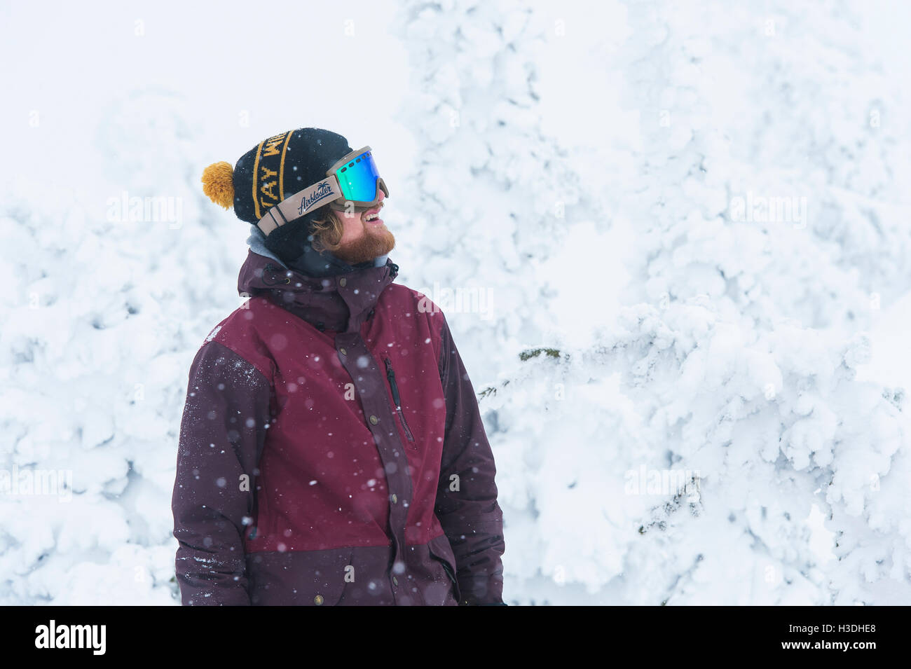 Portrait of a snowboarder during a snow storm Stock Photo