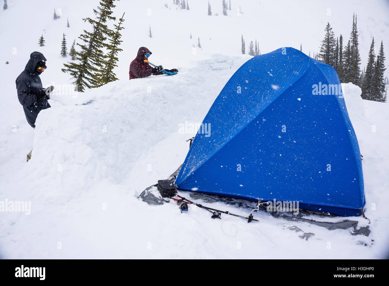 Building snow walls to protect tent during winter expedition Stock Photo