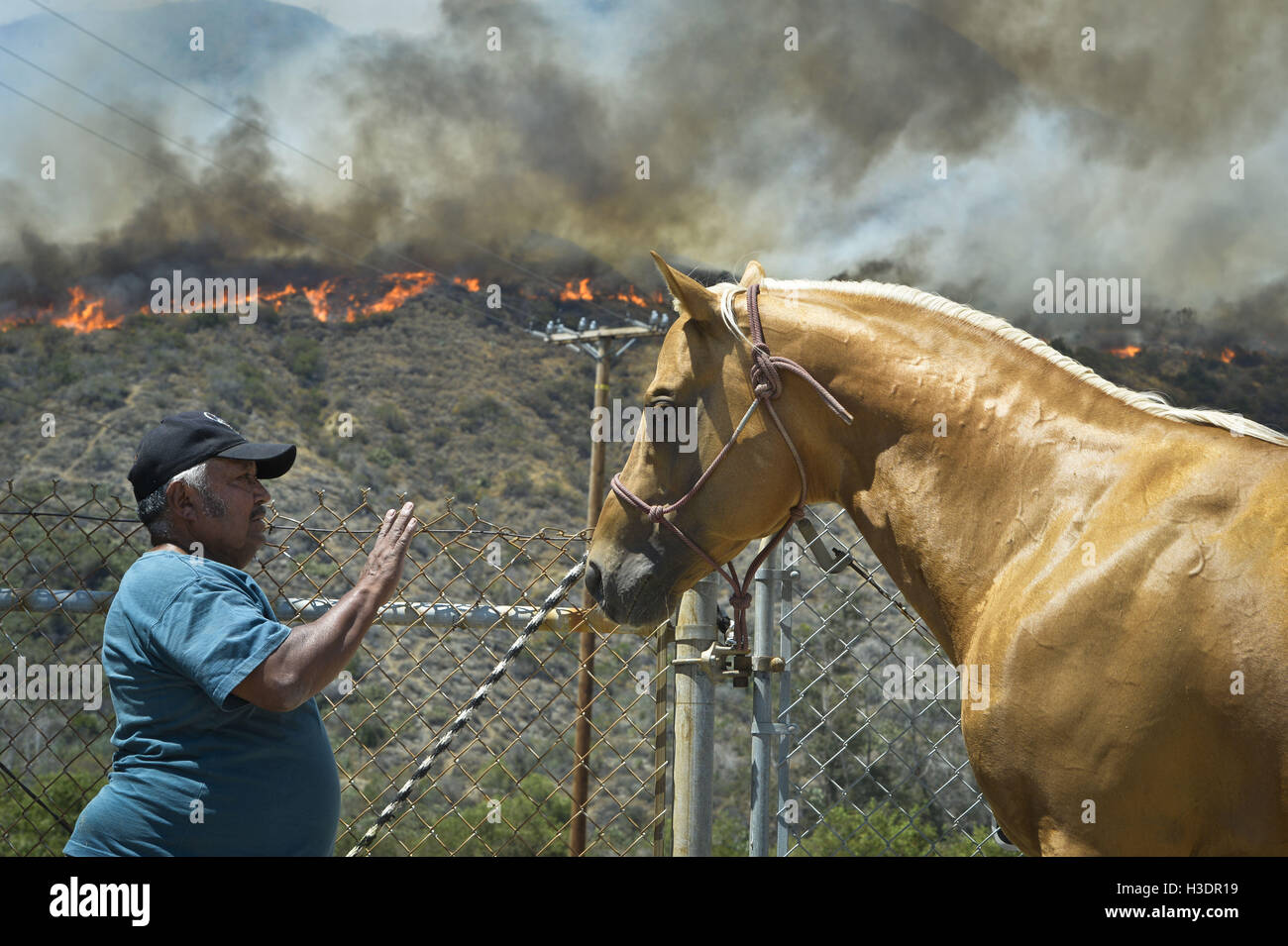San Gabriel, CA, USA. 6th Oct, 2016. The Fish Fire burns in the Angeles National Forest on Monday, June 20th, 2016. The Fish Fire began amidst record triple digit temperatures and burned near homes north of the 210 Freeway. The Reservoir Fire started nearby, and both fires were managed as the San Gabriel Complex. In total the two fires burned 5,399 acres and over 1,000 homes were evacuated. © Stuart Palley/ZUMA Wire/Alamy Live News Stock Photo