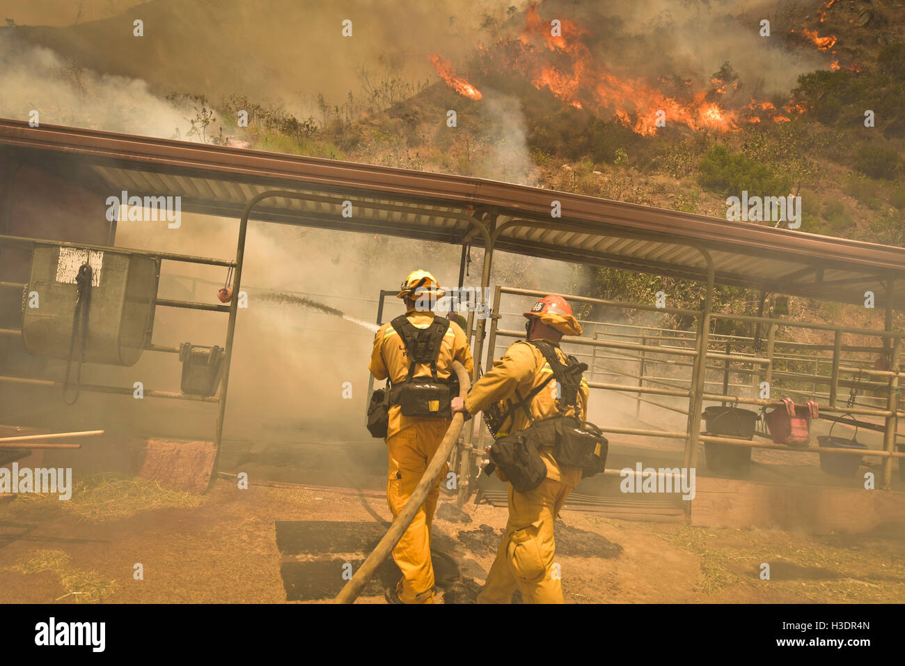 San Gabriel, CA, USA. 6th Oct, 2016. The Fish Fire burns in the Angeles National Forest on Monday, June 20th, 2016. The Fish Fire began amidst record triple digit temperatures and burned near homes north of the 210 Freeway. The Reservoir Fire started nearby, and both fires were managed as the San Gabriel Complex. In total the two fires burned 5,399 acres and over 1,000 homes were evacuated. © Stuart Palley/ZUMA Wire/Alamy Live News Stock Photo