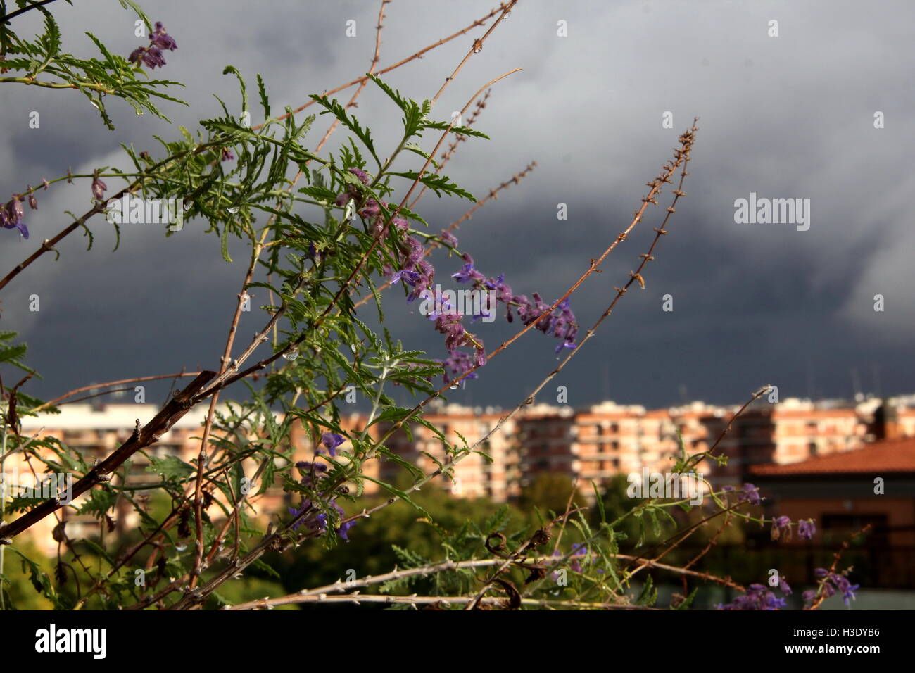 Rome, Italy. 7th October 2016. Heavy thunderstorms hit Rome in the last 12 hours causing widespread disruption and flooding. Credit:  Gari Wyn Williams / Alamy Live News Stock Photo
