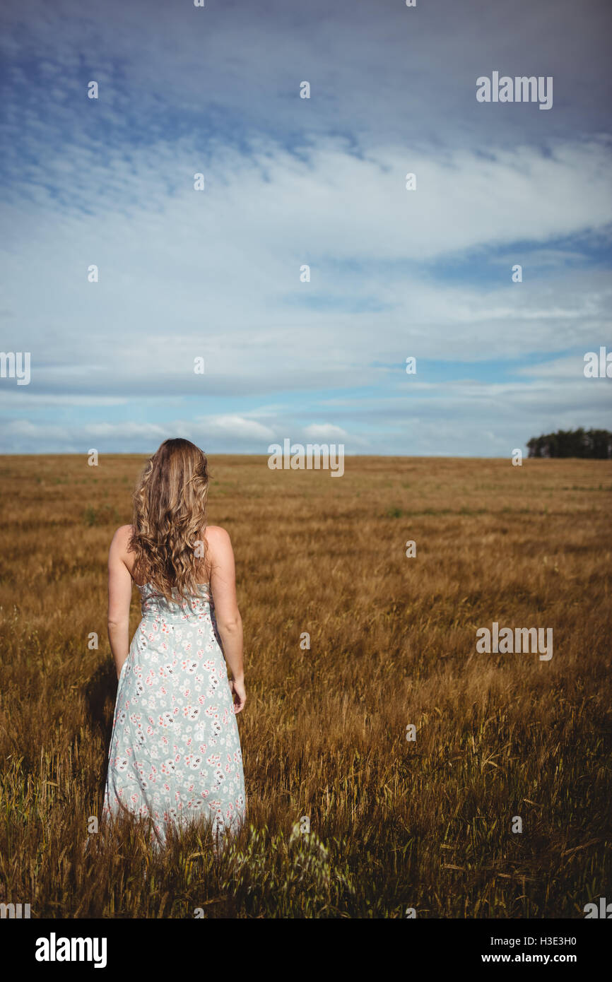 Rear view of woman standing in wheat field Stock Photo - Alamy