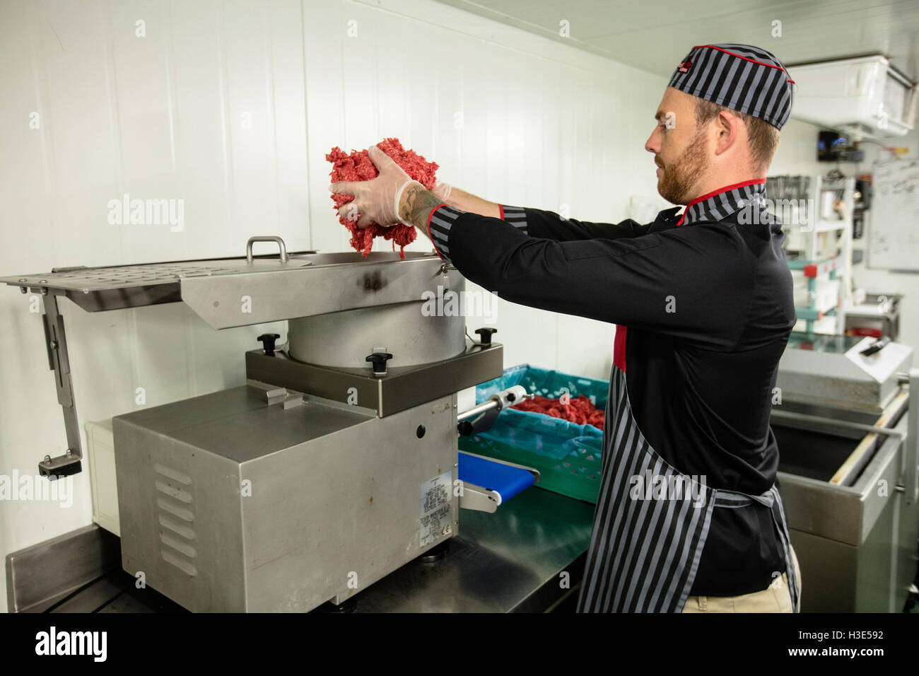 Butcher putting meat in mincer machine Stock Photo Alamy