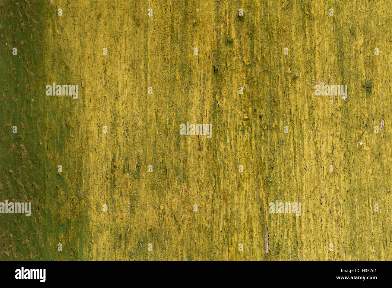 grunge wood texture, green, paint yellow vintage background Stock Photo