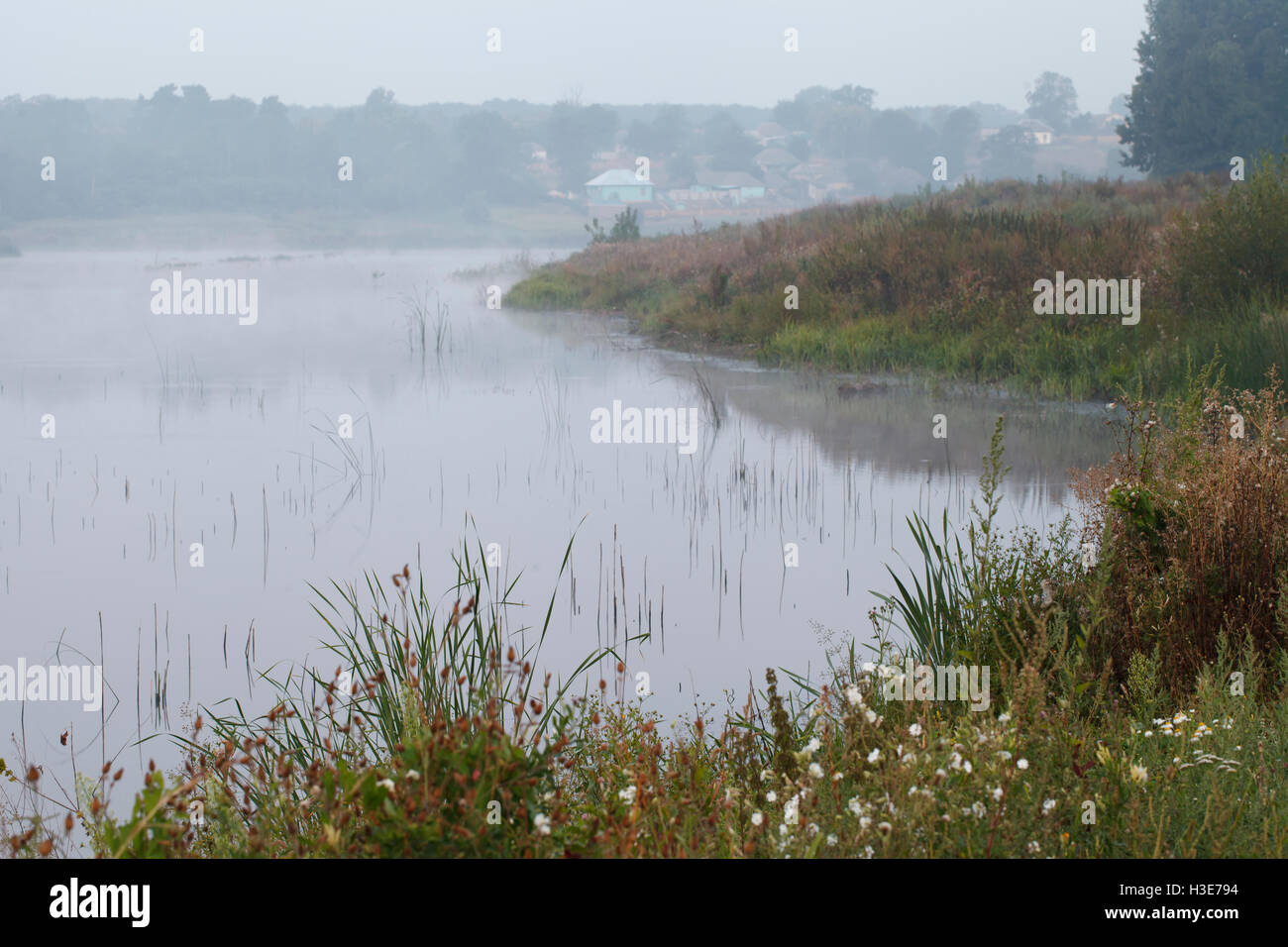 beautiful morning landscape, mist over the lake surface Stock Photo - Alamy