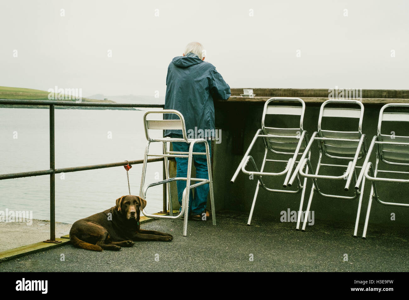 A man enjoying a coffee looking out to sea with his brown labrador dog. Stock Photo