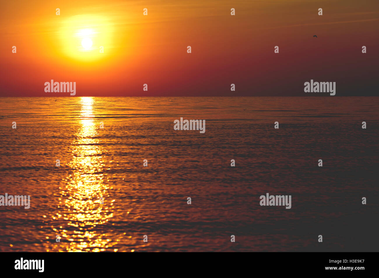 a beautiful landscape, sunrise on the sea Stock Photo - Alamy
