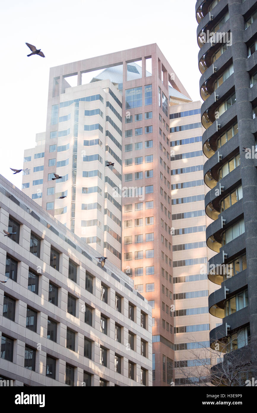 Window view office building hi-res stock photography and images - Alamy