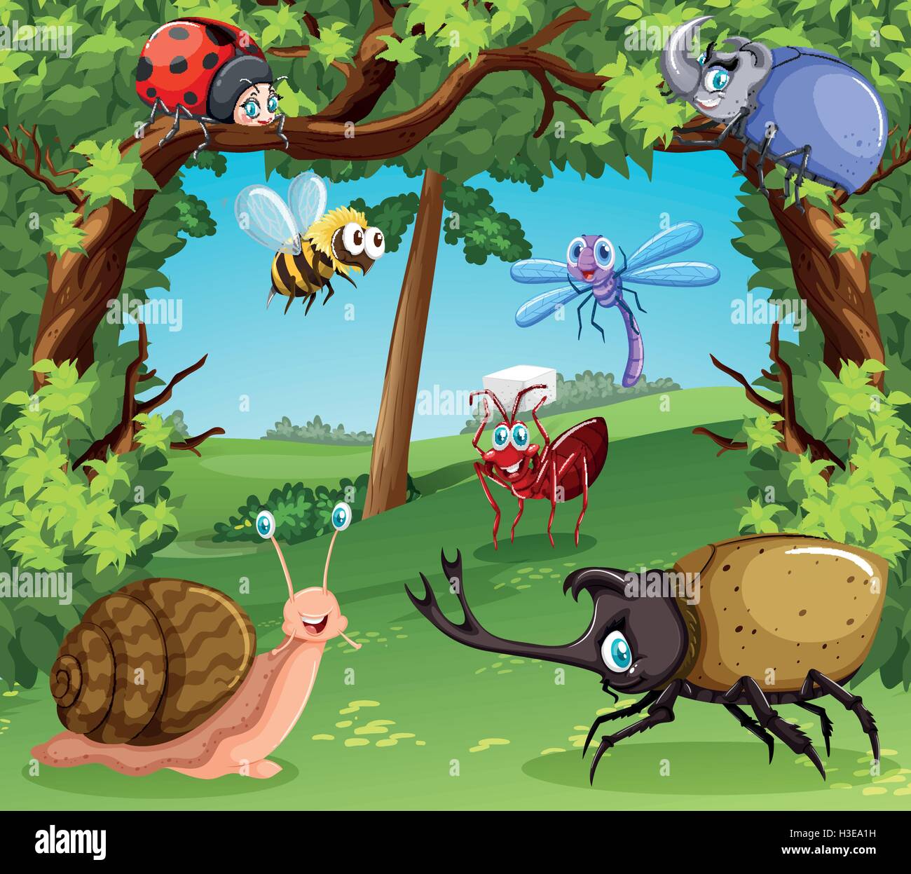Many Types Of Bugs In The Forest Illustration Stock Vector Image Art