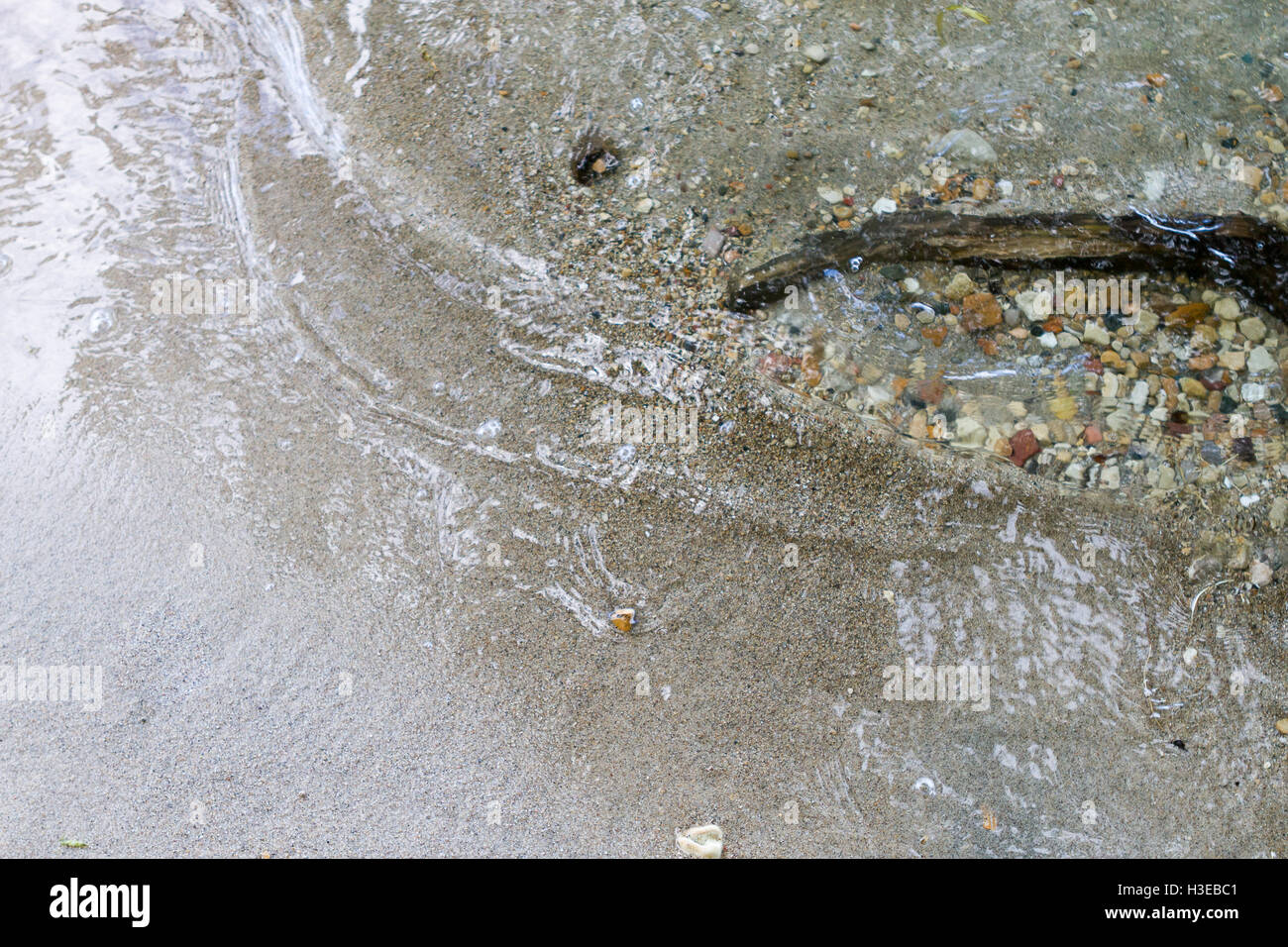 Beach with driftwood, smooth wet sand, and light reflection on calm