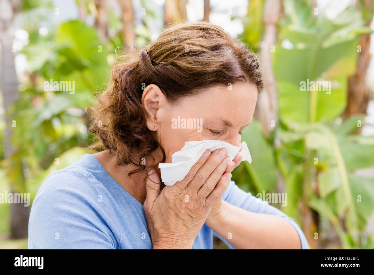 Mature woman sneezing Stock Photo