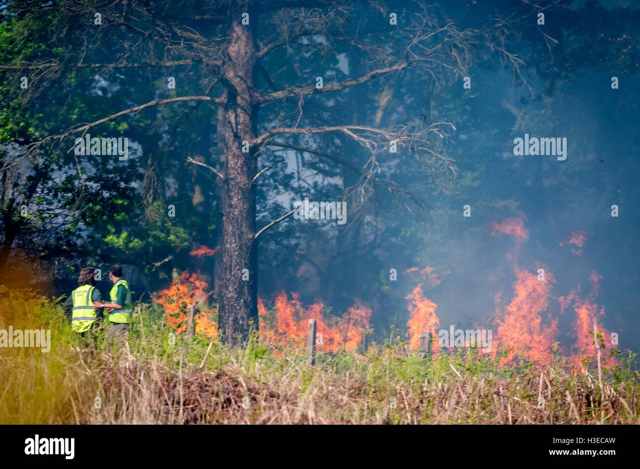 Fire Spreading High Resolution Stock Photography and Images - Alamy