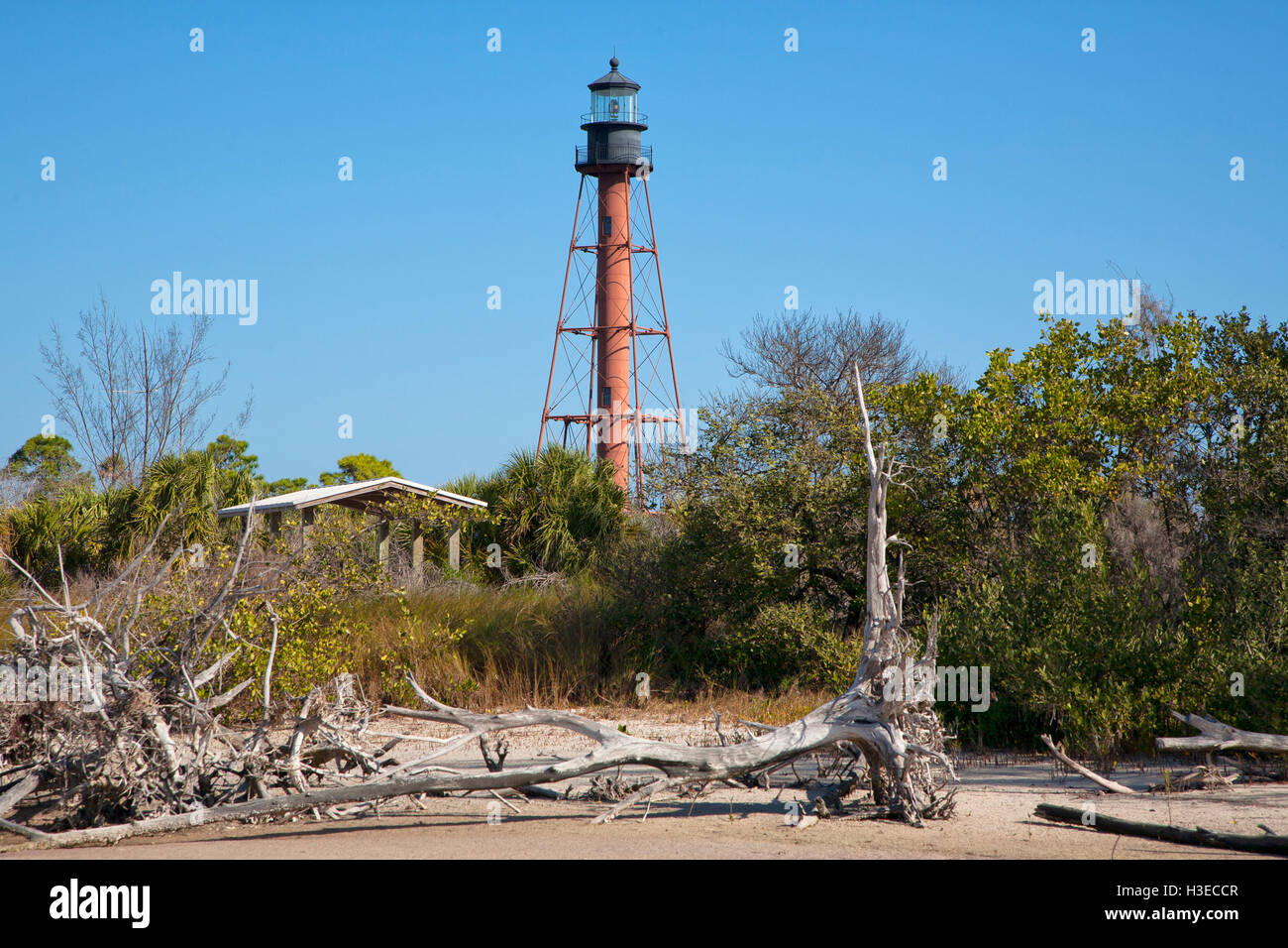 The skeletal square pyramidal brown tower of Anclote Key Lighthouse rises 110ft above the sabal palms & weathered scrub brush . Stock Photo