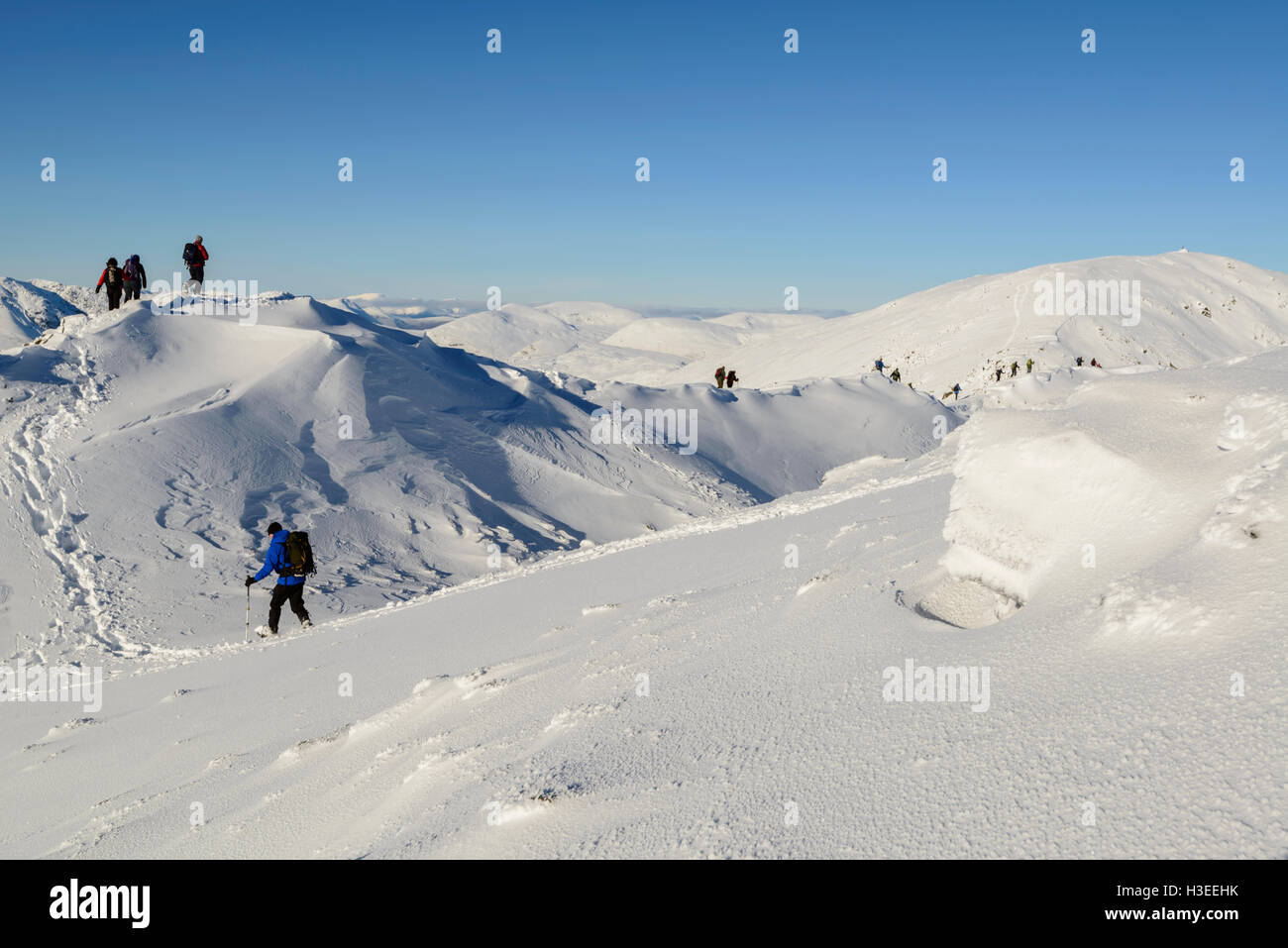 A hill walking group ascending the Munro Ben Challum in winter conditions, near Crianlarich, Scotland. Stock Photo