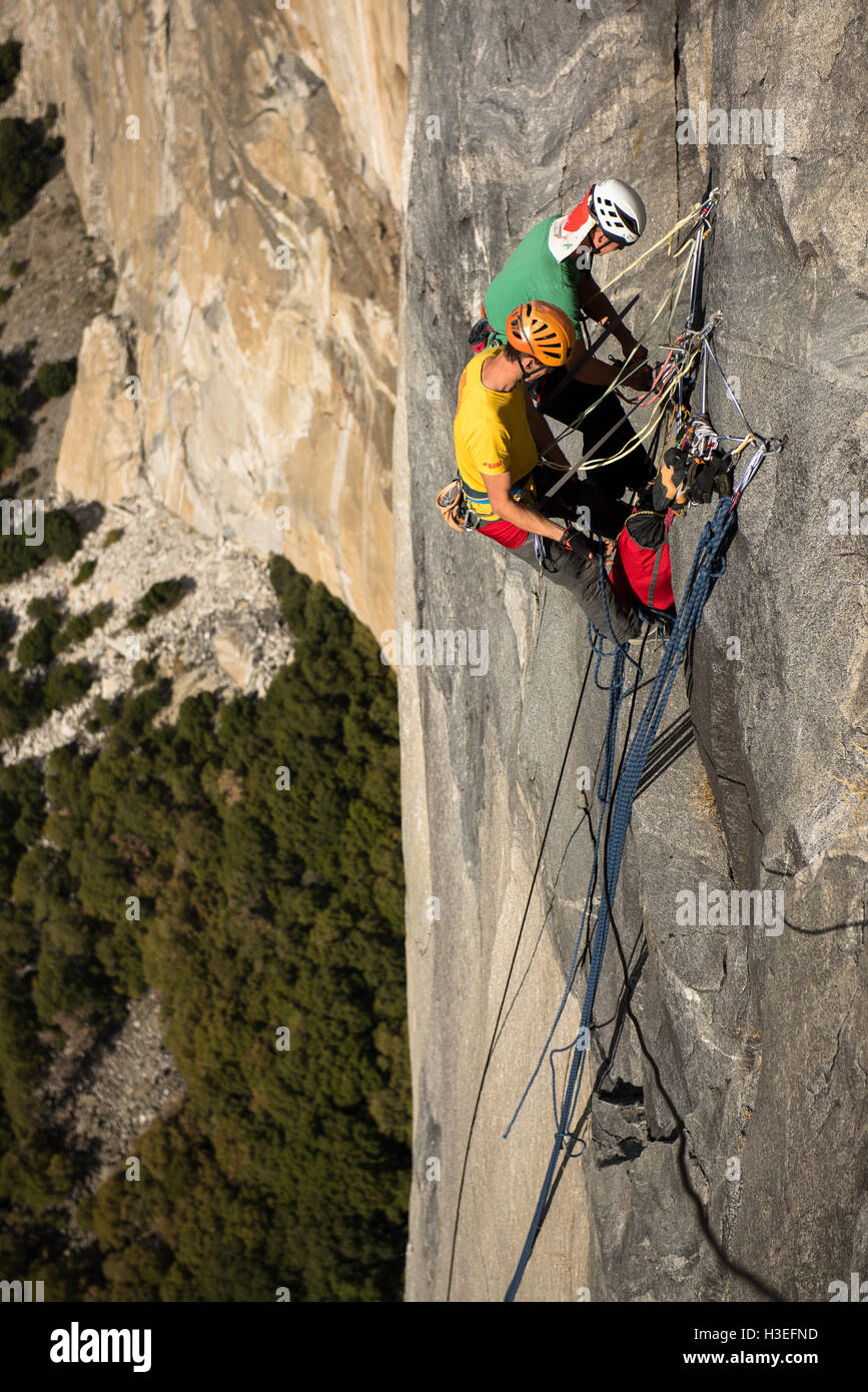 Two men free climbing a big wall route on El Capitan in Yosemite National Prk in the Sierra Nevada Mountains, California. Stock Photo