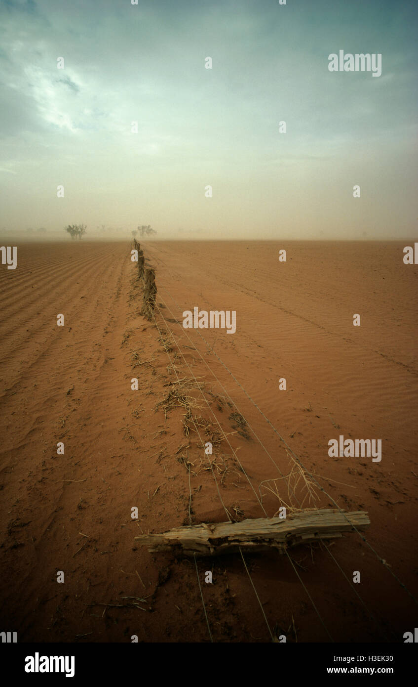 Drought, top soil of wheat farm blown away by wind, near Renmark, South Australia Stock Photo