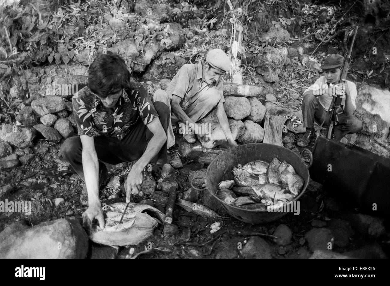 Chalatenango, EL SALVADOR, June 1982: - Within the FPL Guerrilla's Zones of Control -  a fishing cooperative gut fish caught in nearby lake Cuscatlan. Stock Photo