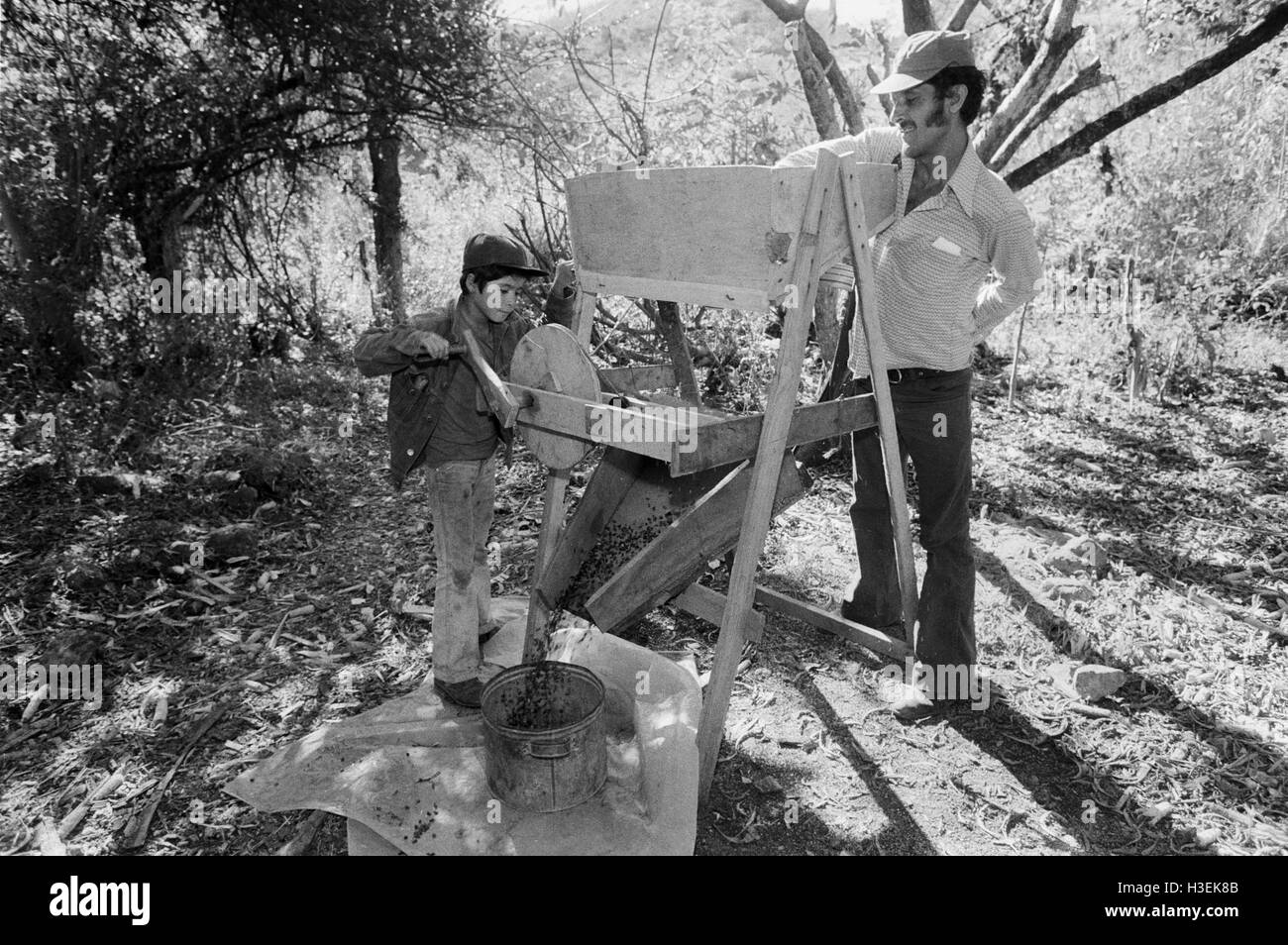 CHALATENANGO,  EL SALVADOR, FEB 1984: - Within the FPL Guerrilla's Zones of Control   A boy helps his father on their farm. Stock Photo
