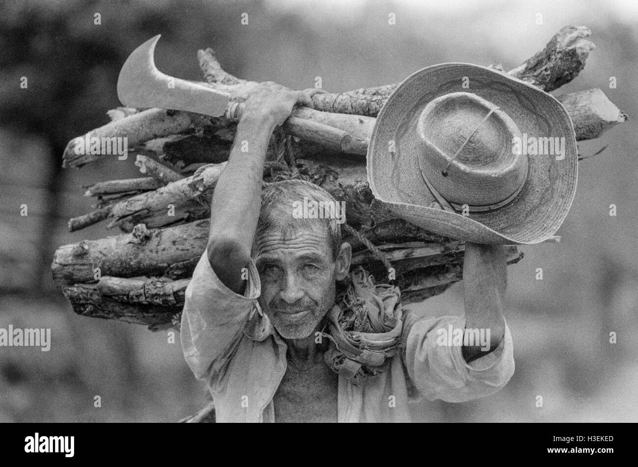 CHALATENANGO,  EL SALVADOR, FEB 1984: - Within the FPL Guerrilla's Zones of Control   A farmer carries home firewood. Stock Photo