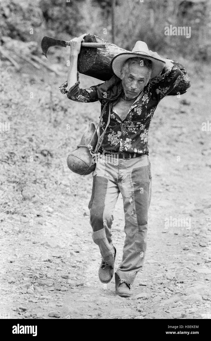 CHALATENANGO,  EL SALVADOR, FEB 1984: - Within the FPL Guerrilla's Zones of Control   A farmer carries home firewood. Stock Photo