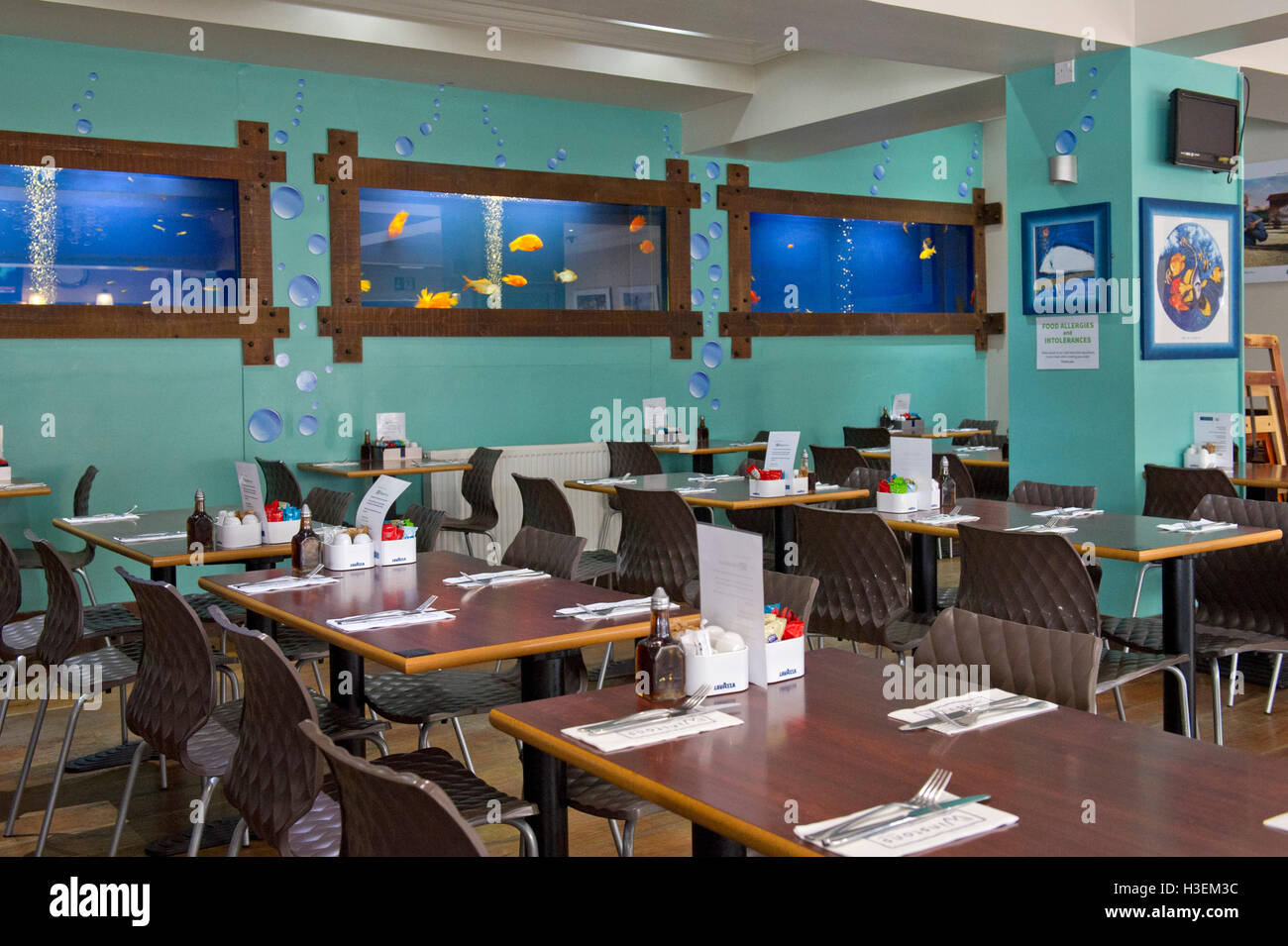 Winstons Fish Bar, WestonSuperMare, Somerset, UK.fish&chips food