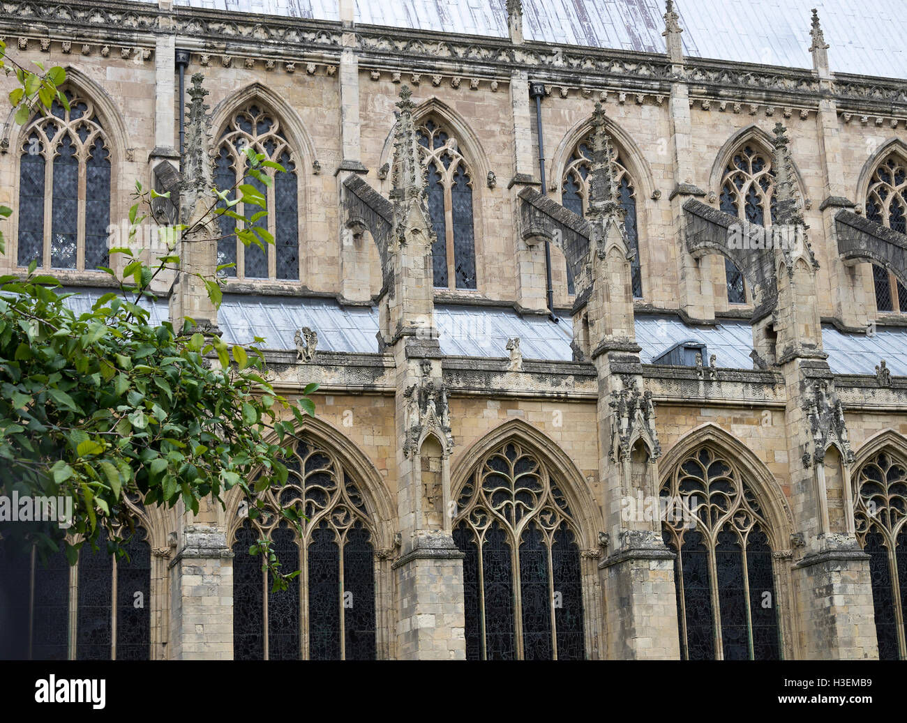 The Beautiful Perpendicular Windows with Flying Buttresses Form Part of the Beverley Minster, Beverley Yorkshire England United Kingdom UK Stock Photo
