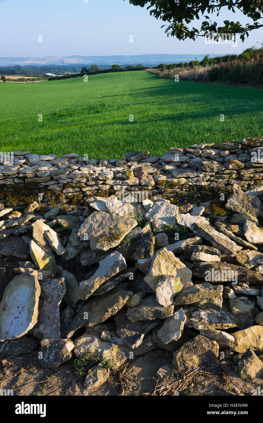 Repairs Being Undertaken to a Drystone Wall on a Farm in Sawdon North Yorkshire England United Kingdom UK Stock Photo