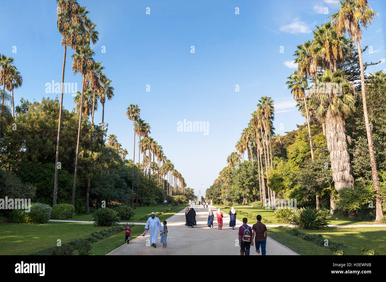 Big pool and trees in Botanical Garden of Hamma in Algiers.It was established in 1832 and now still considered one of the most Stock Photo