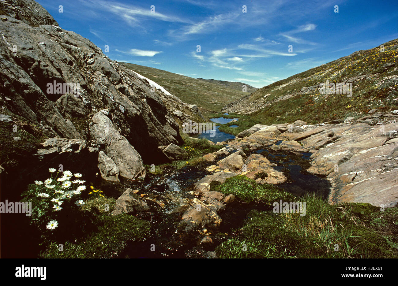 Mountain creek in spring, Stock Photo