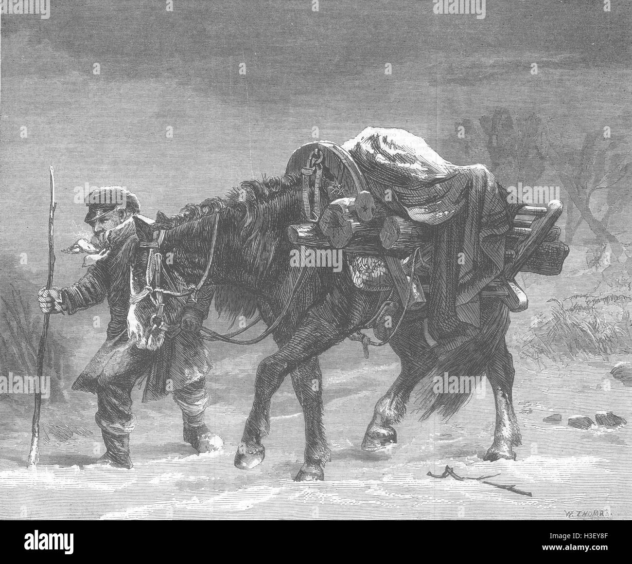 HORSES Winter. Fine Art 1867. Illustrated London News Stock Photo