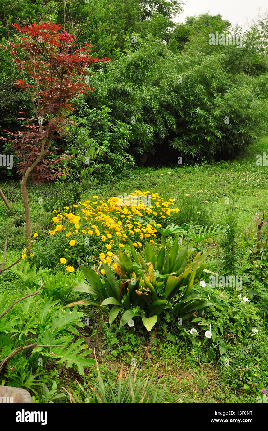 Assorted flowers & trees Stock Photo - Alamy